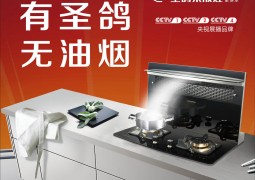 圣鴿集成灶最新產(chǎn)品裝修效果圖展示