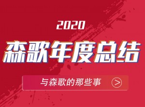 森歌集成灶2020年度報告PC版圖片