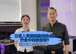 力巨人憑借哪些優(yōu)勢成為行業(yè)中的佼佼者？力巨人企業(yè)實力篇 ()