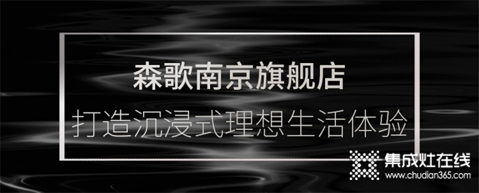 森歌南京分公司攜四店盛大開(kāi)業(yè)，探索理想廚房生活的可能