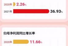 帥豐電器2021年報(bào)：營(yíng)收、凈利潤(rùn)實(shí)現(xiàn)雙位數(shù)增長(zhǎng) (1091播放)