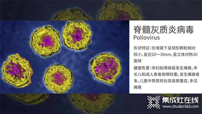 四星級(jí)除菌是什么概念？為什么要用四星級(jí)除菌洗碗機(jī)？森歌為你解答！