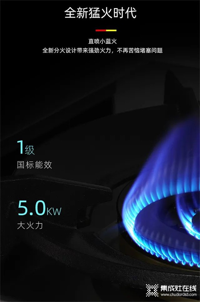 省水省電省燃氣的德西曼集成灶，你值得擁有！