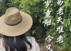 【重陽(yáng)節(jié)桂花糕】“桂花雨”落在松軟的米糕上，連著桂花蜜的甜味融化在舌尖上，這份獨(dú)屬于秋天的歡迎儀式，連帶著重陽(yáng)節(jié)的獻(xiàn)禮一起和大家分享！